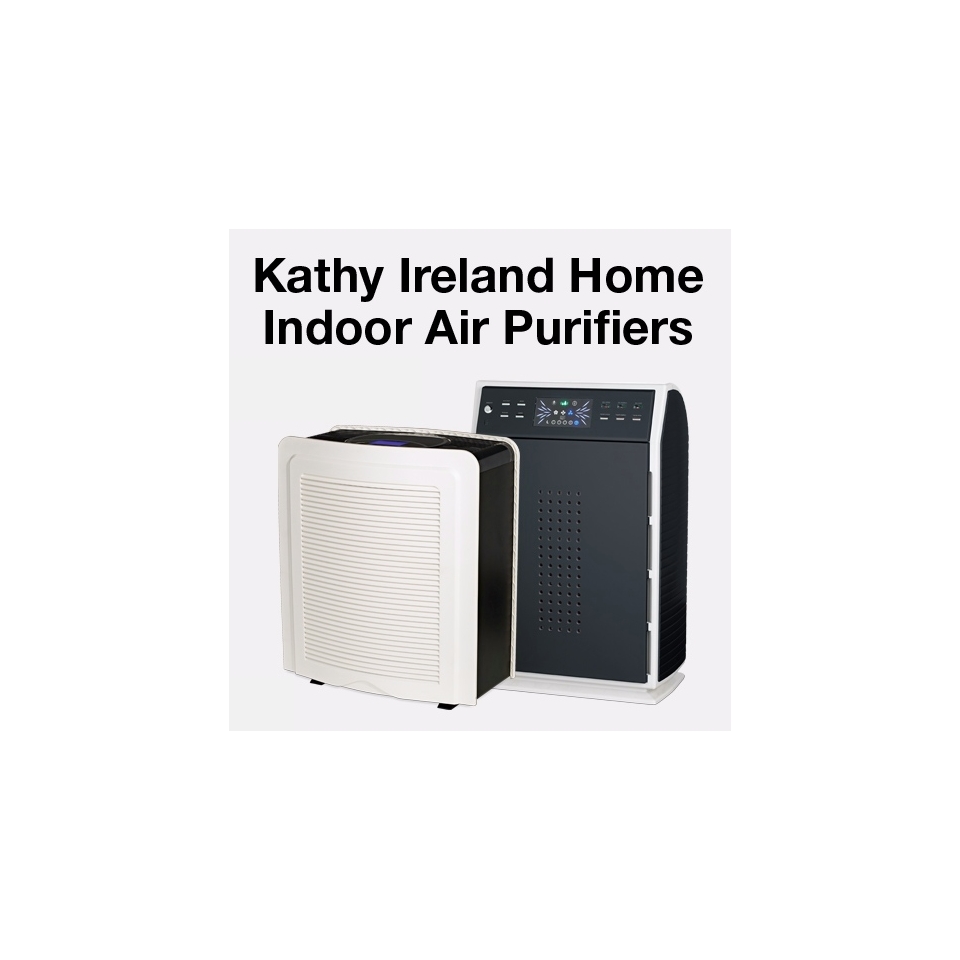 Indoor Air Purifiers and Replacement HEPA Filters 