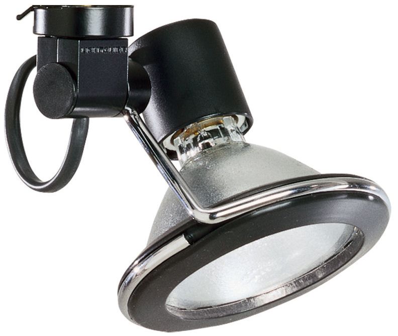 Lightolier Lasso™ 75 Watt Par30 Black Track Bullet