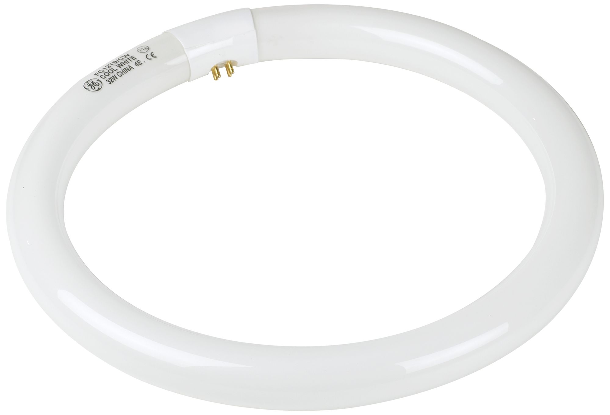 Cool White 22 Watt / 8" Circline Fluorescent