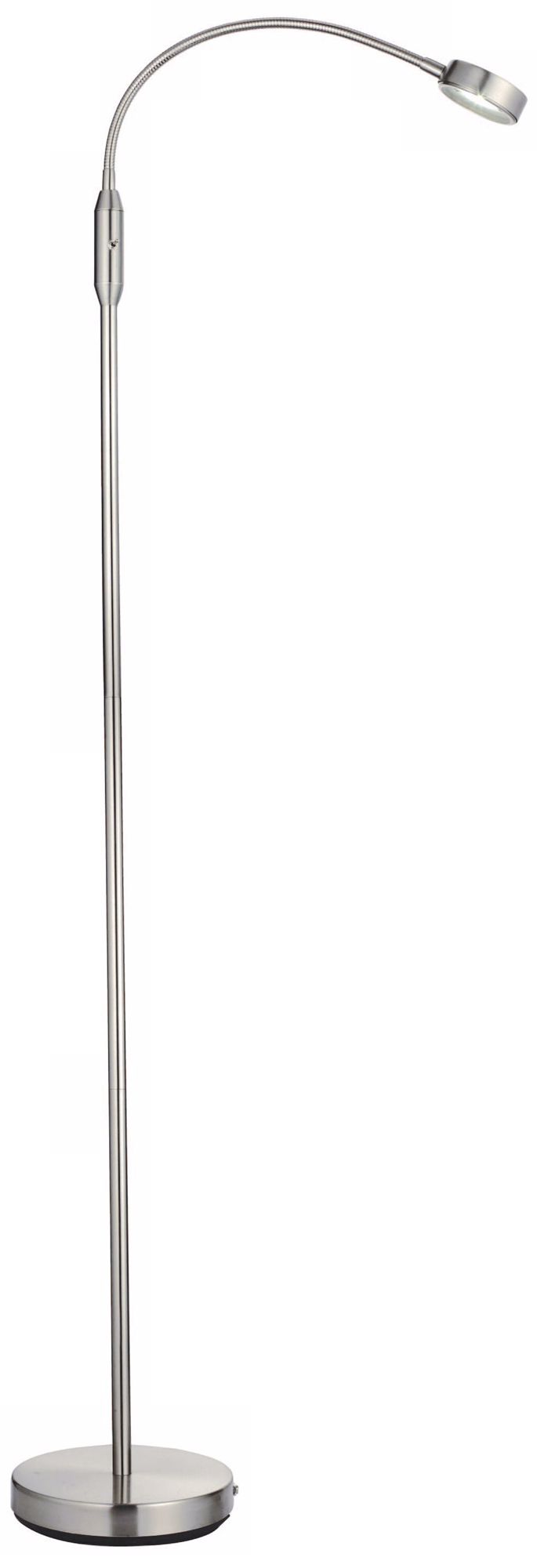 Eternity LED Gooseneck Floor Lamp
