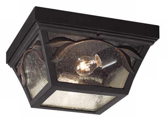 Hampton Park Indoor - Outdoor Ceiling Light