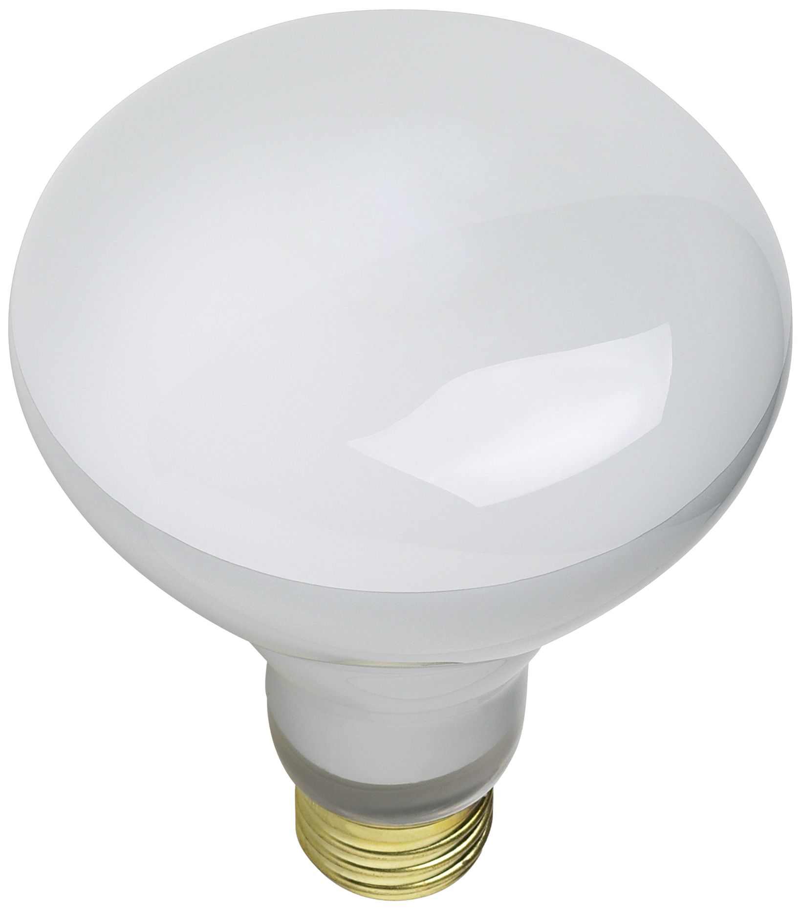 100 Watt R30 Flood Light Bulb
