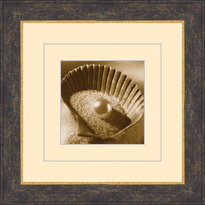 Seashells in Sepia A 15 1/2" Square Wall Art