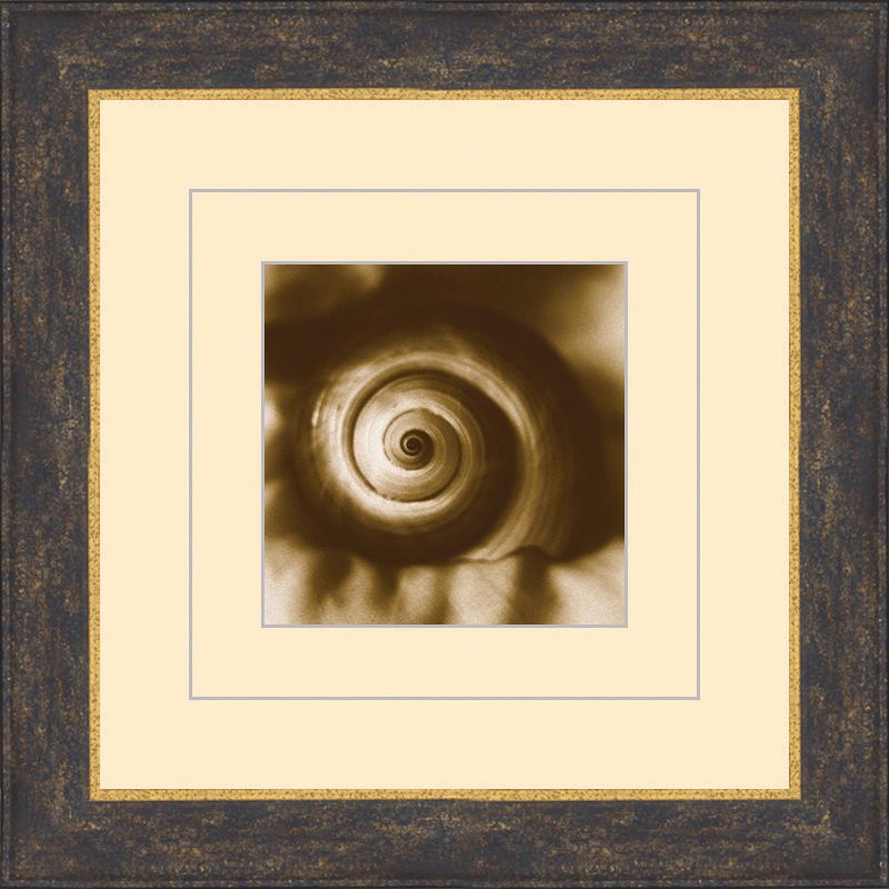 Seashells in Sepia C 15 1/2" Square Wall Art