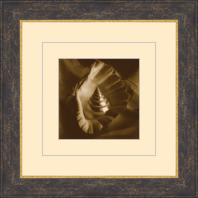 Seashells in Sepia D 15 1/2" Square Wall Art