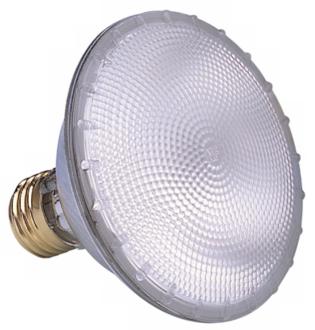 Sylvania PAR30 Flood Capsylite Light Bulb 08097