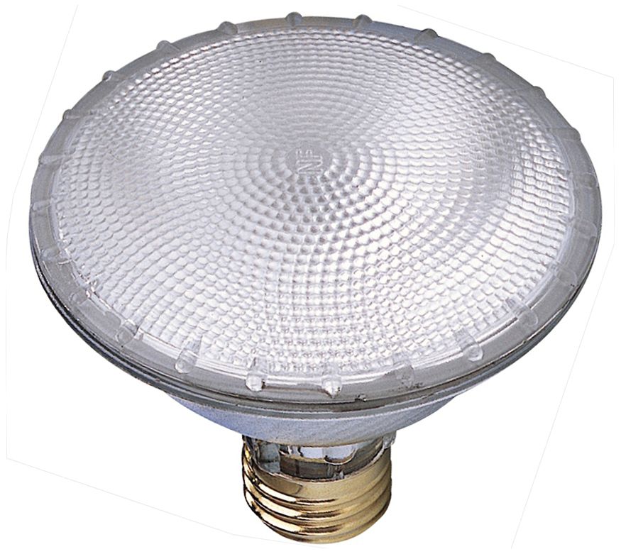 75 Watt PAR30  Flood Light Bulb