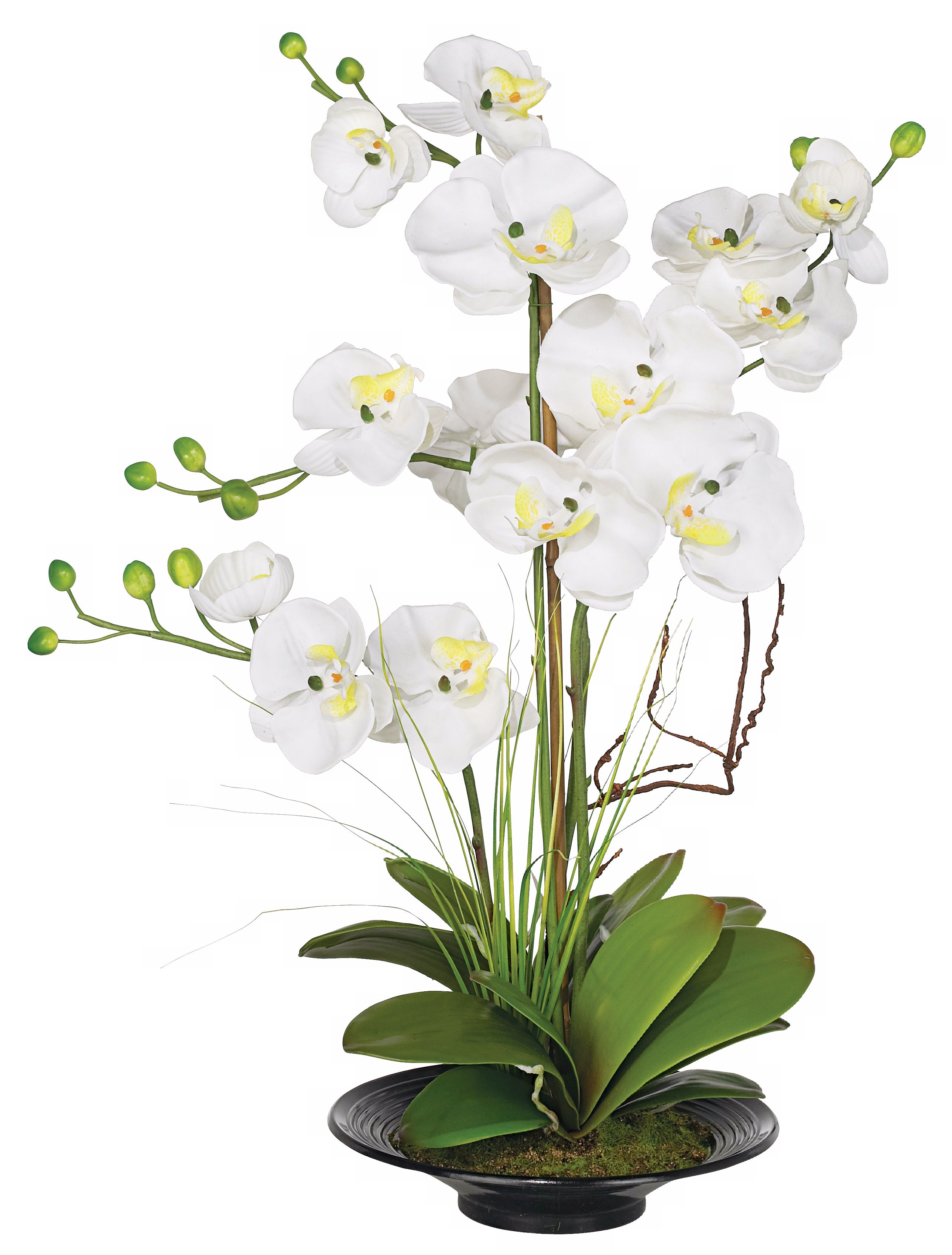 White Orchids in Black Pot Faux Flowers