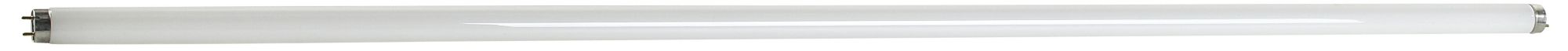 60 Watt Warm White T-12 Fluorescent Light Bulb