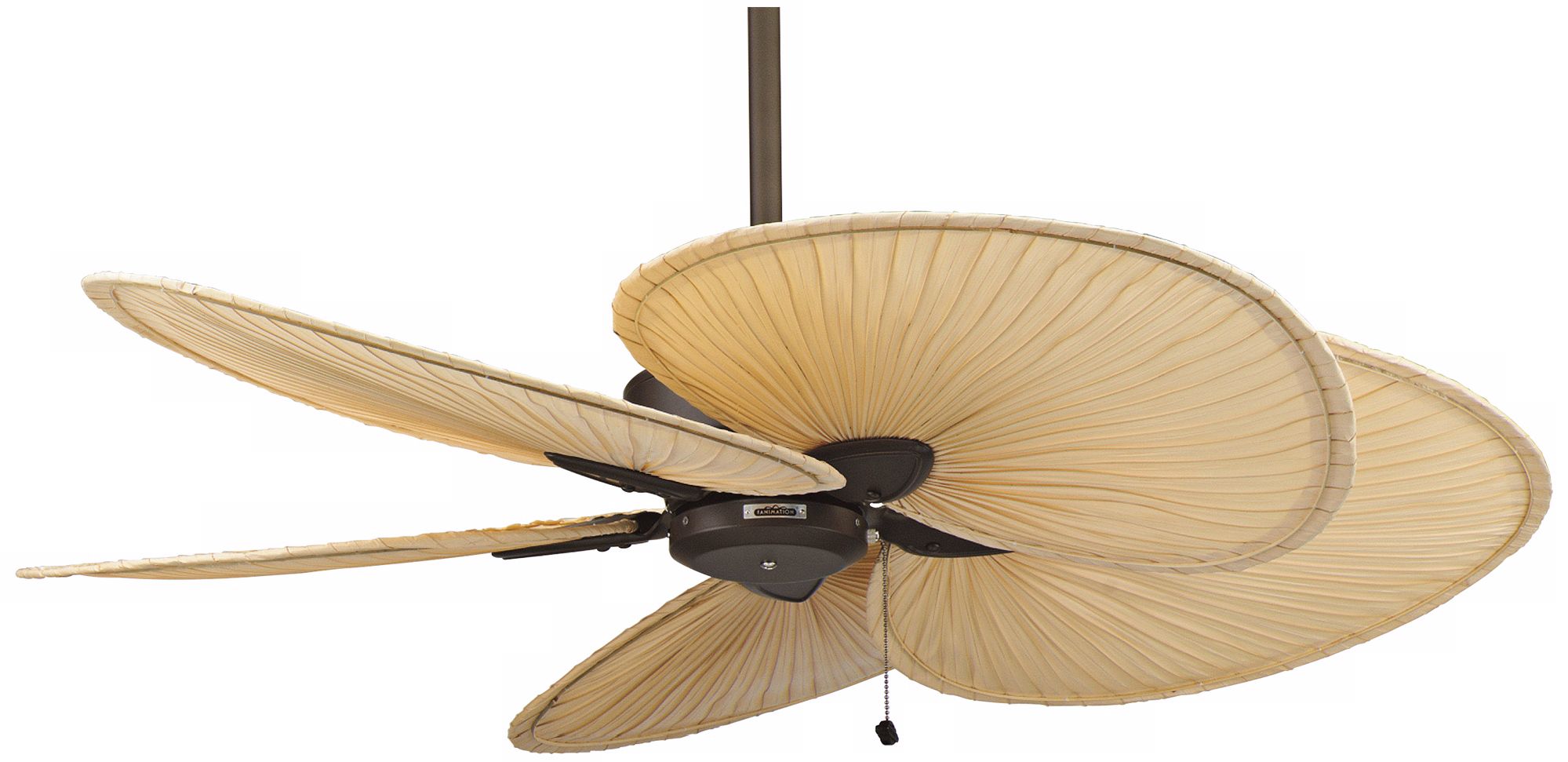 52" Fanimation Windpointe Bronze and Palm Ceiling Fan