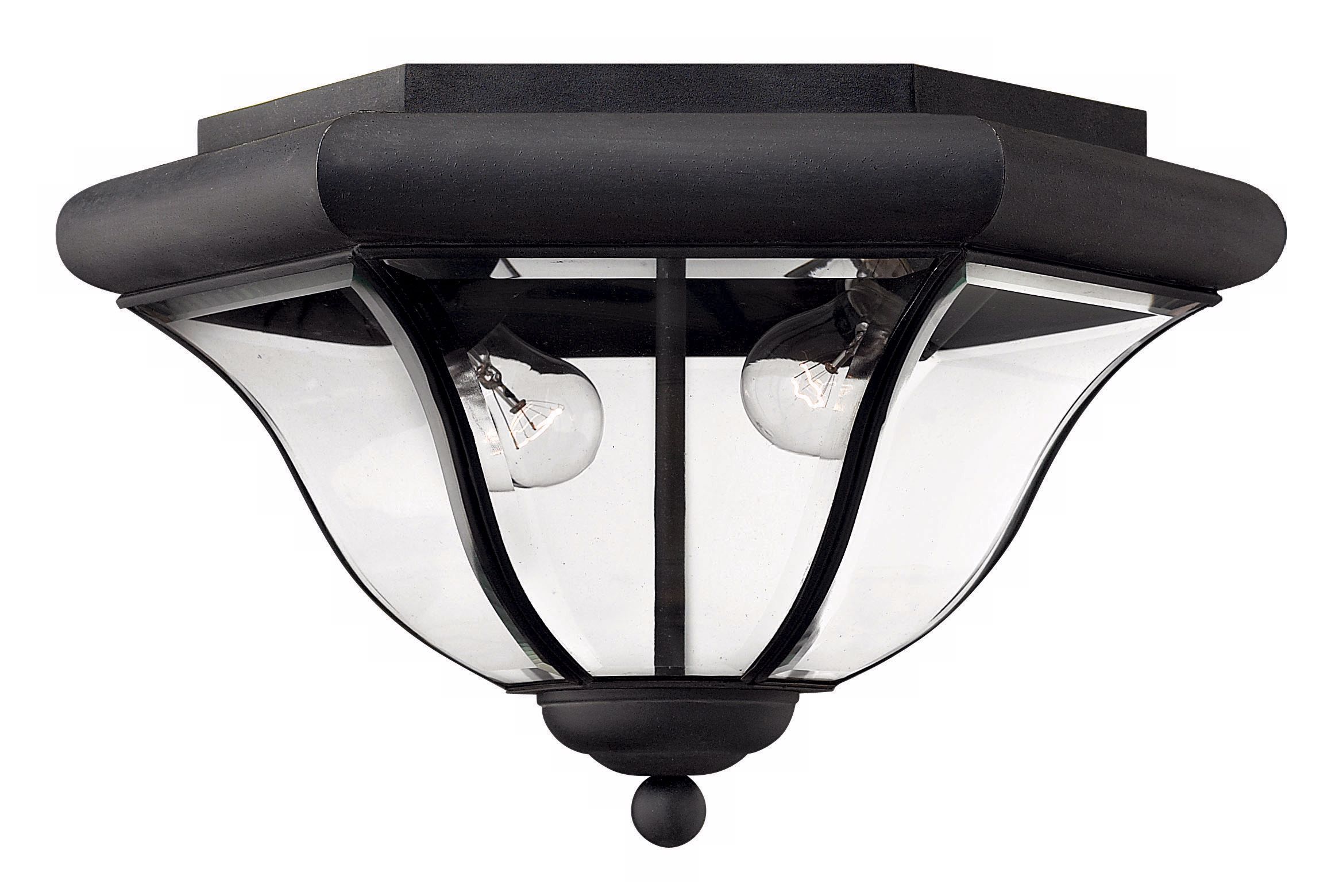 La Cumbre Black Finish  9” High Indoor Outdoor Ceiling Light