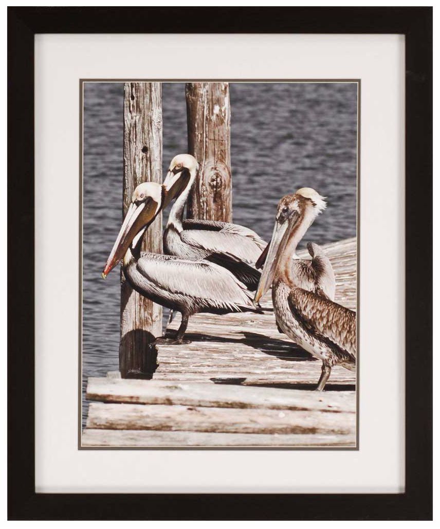 The Gang's All Here 33" High Framed Sea Bird Wall Art