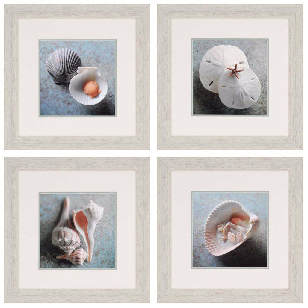 Set of 4 Sea Collection 23" Square Shell Wall Art Prints