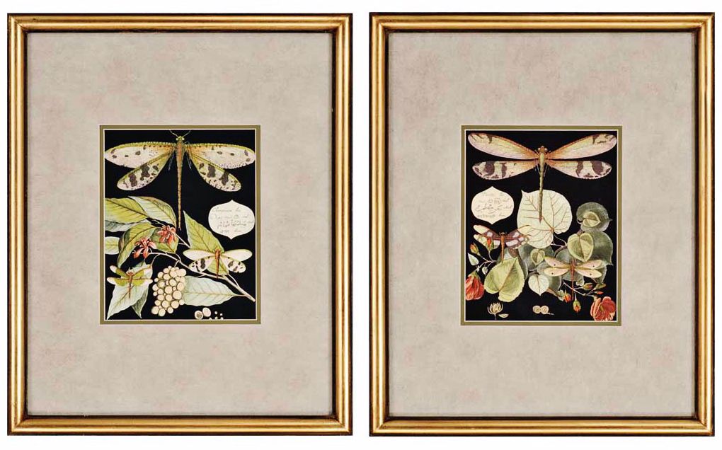 Set of 2 Dragonflies 22" High Framed Wall Art