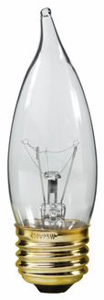Candelabra 25-Watt Medium Base Clear Bulb