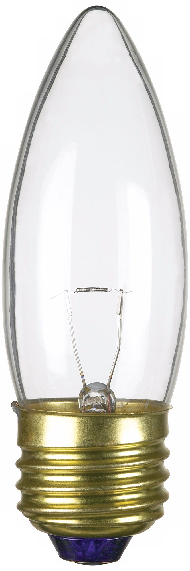 Candelabra 40-Watt 12-Volt Medium Base Light Bulb