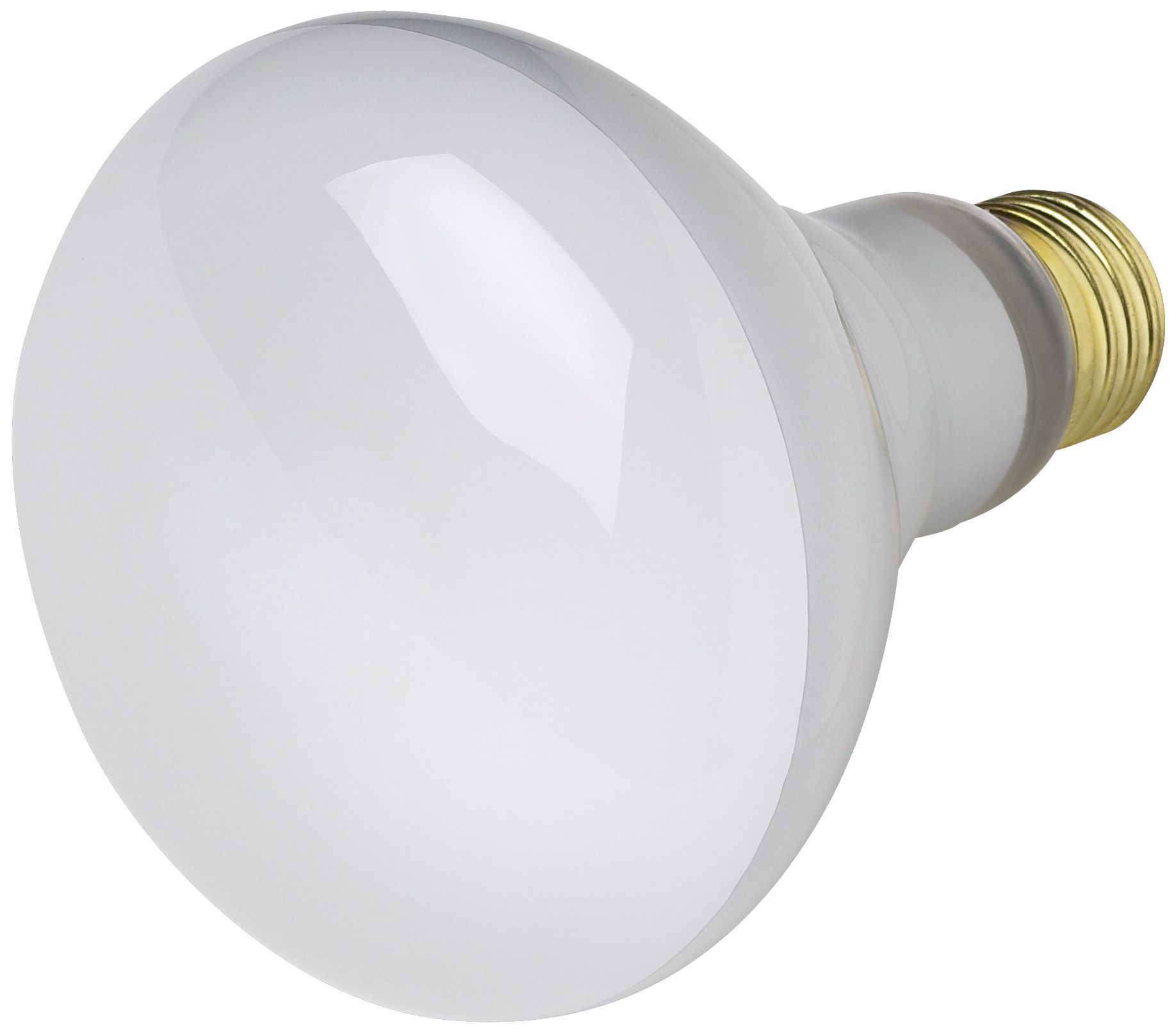 65 Watt R-30 Flood Light Bulb