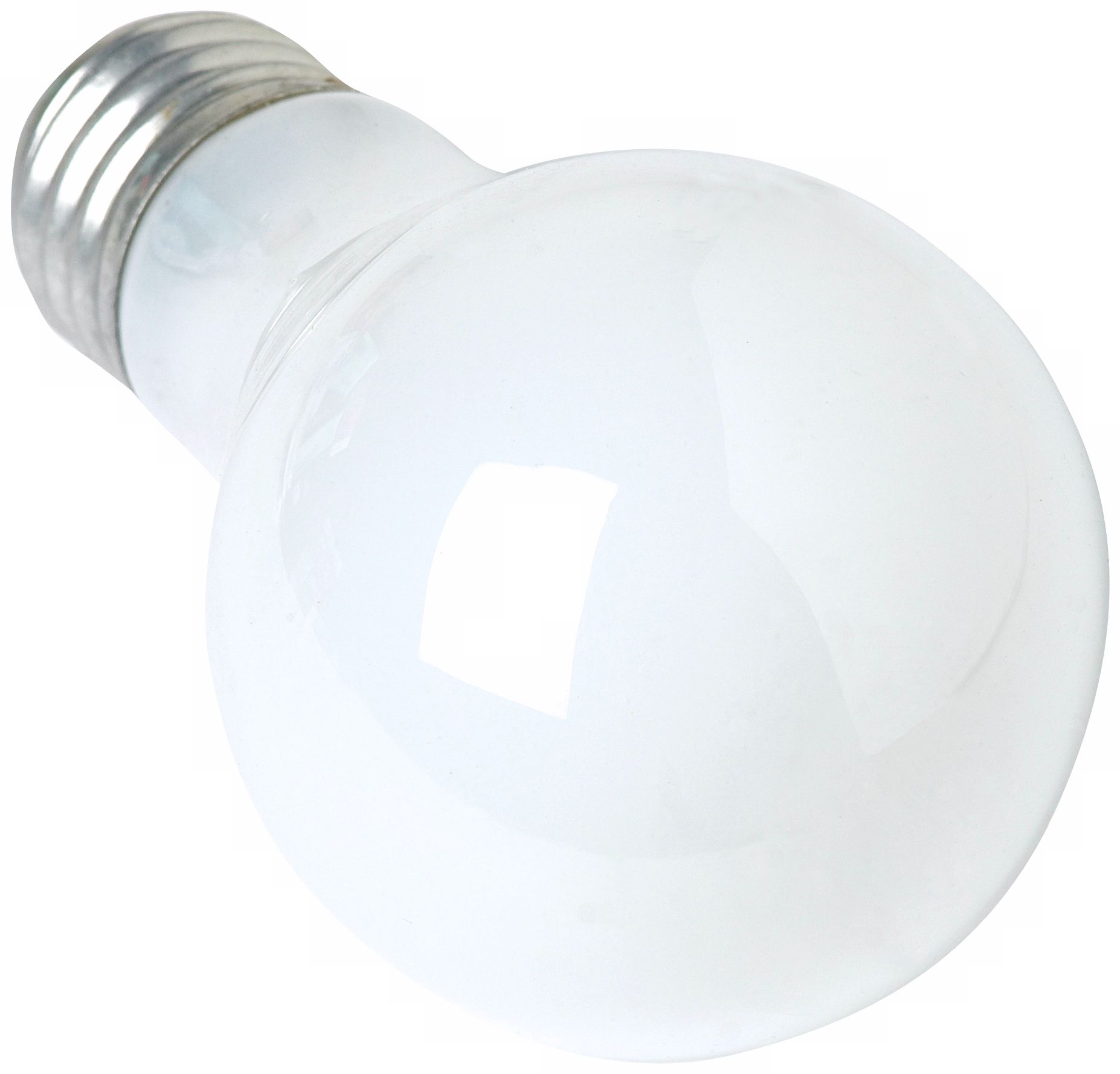 100 Watt Frosted Household Light Bulb