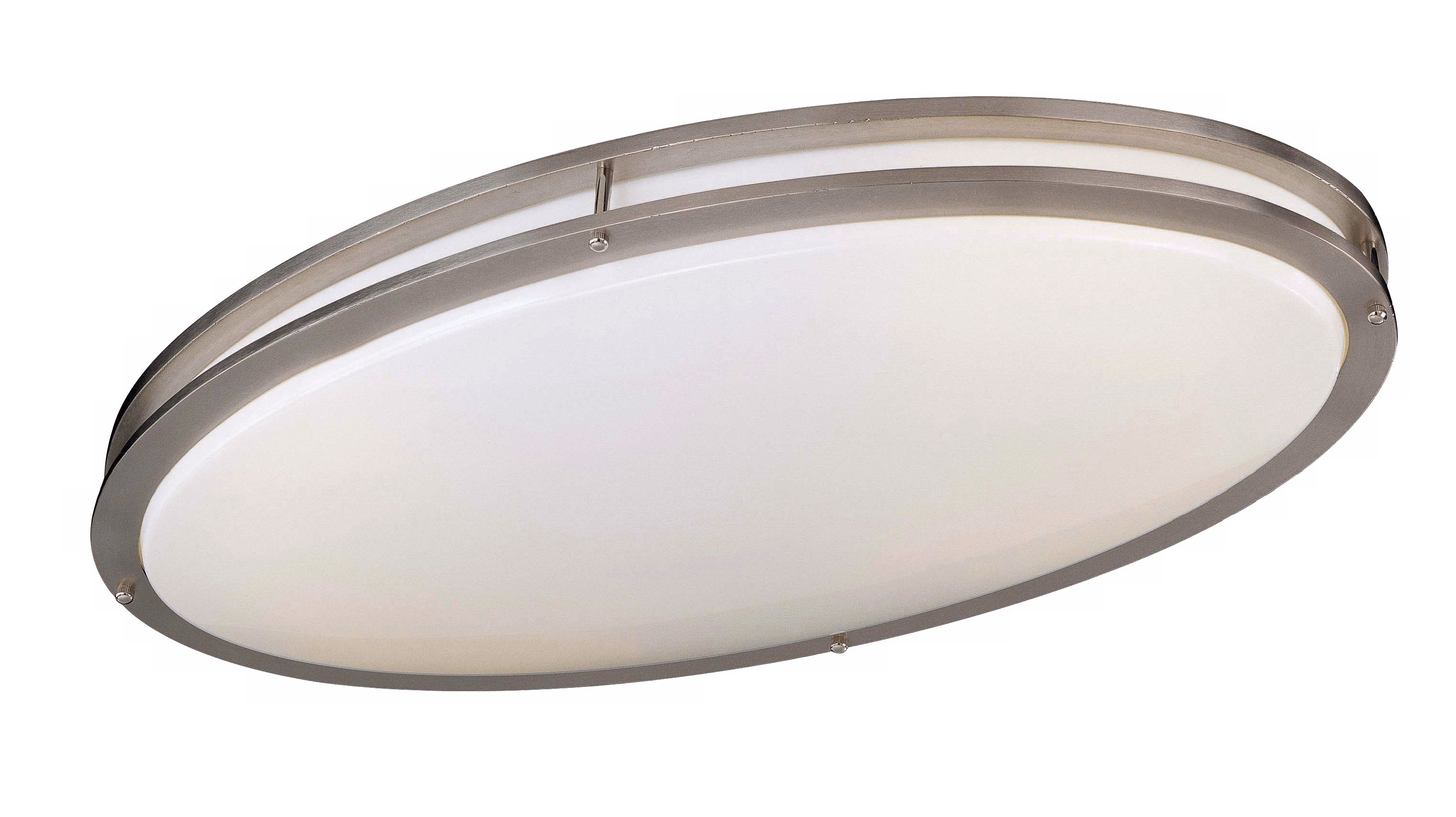Oval 28 3/4" Wide Ceiling Light Fixture