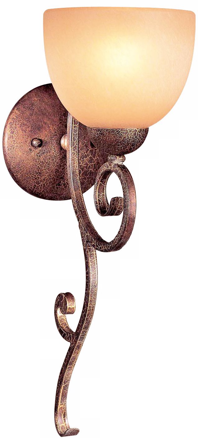 Caspian Collection Golden Bronze Finish Wall Sconce