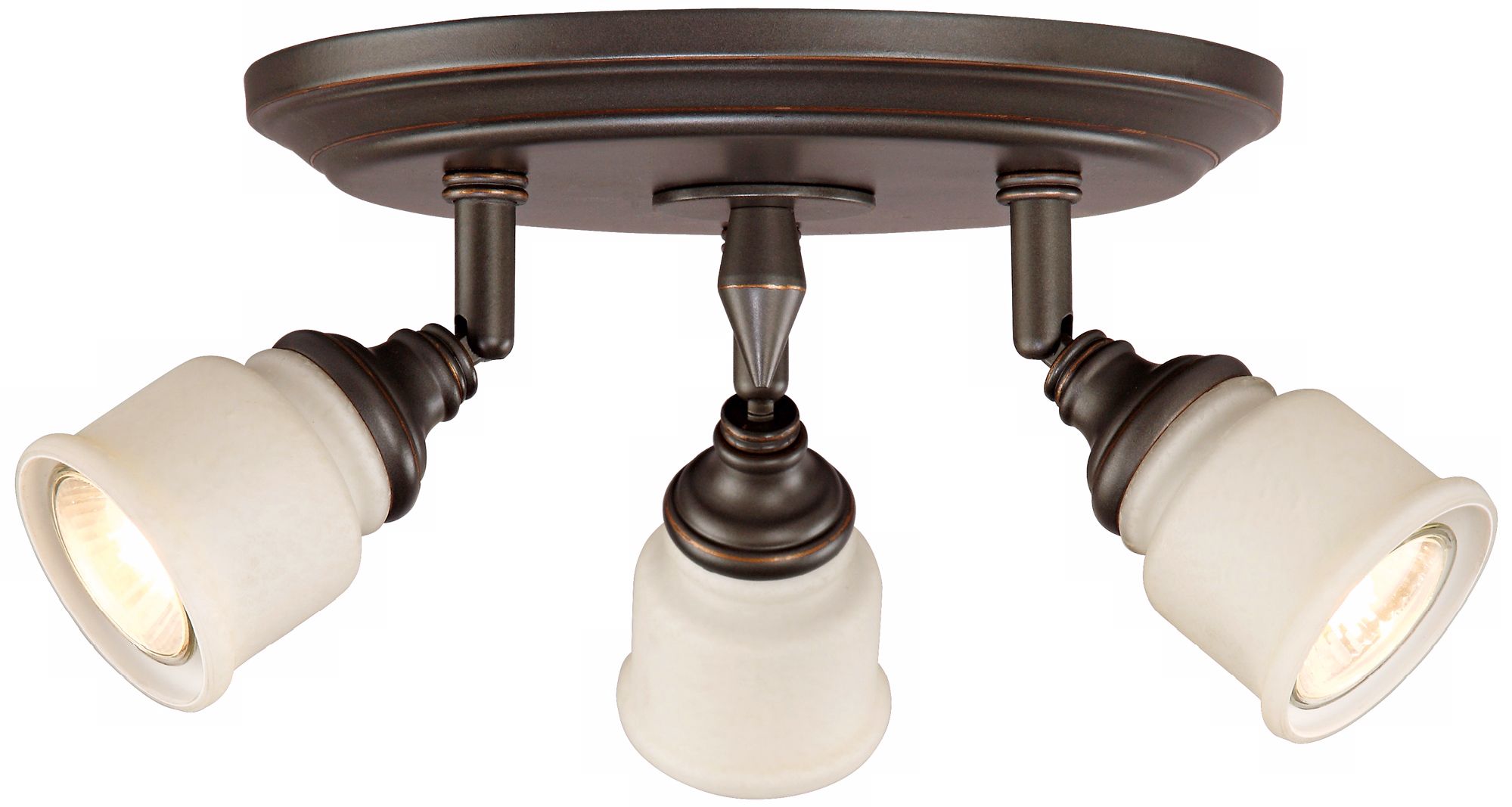 Frosted Glass 3-Light Adjustable Halogen Light Fixture