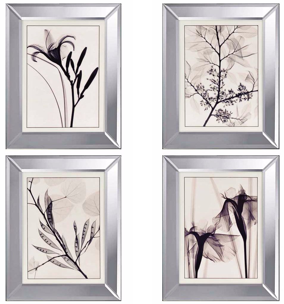 Set of 4 Translucent Botanical Wall Art Prints