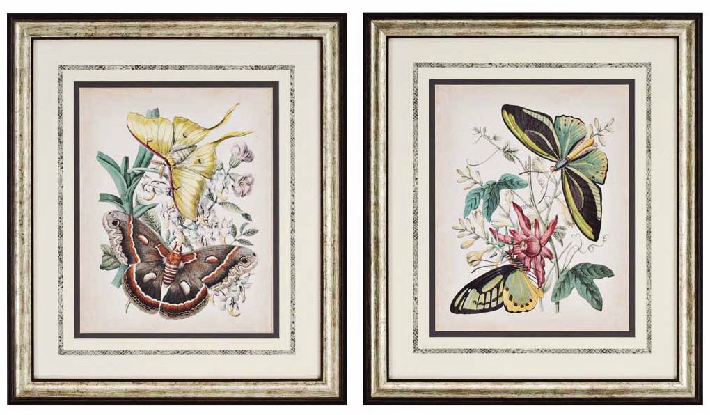 Set of 2 Fanciful Flight Butterfly Wall Art Prints
