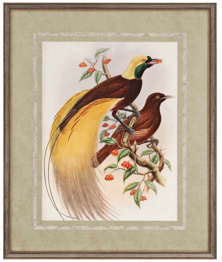 Golden Birds of Paradise 34" High Framed Wall Art