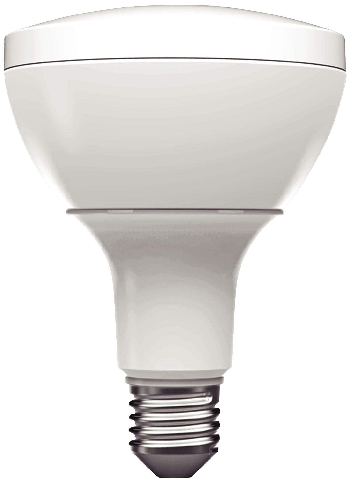 LED  BR30 Foreverlamp Light Bulb