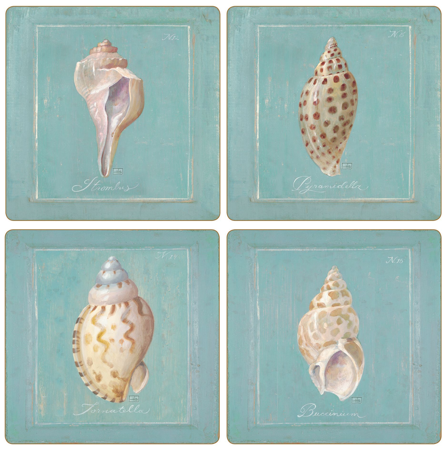 Hindostone Set of 4 Sea Shells Coasters