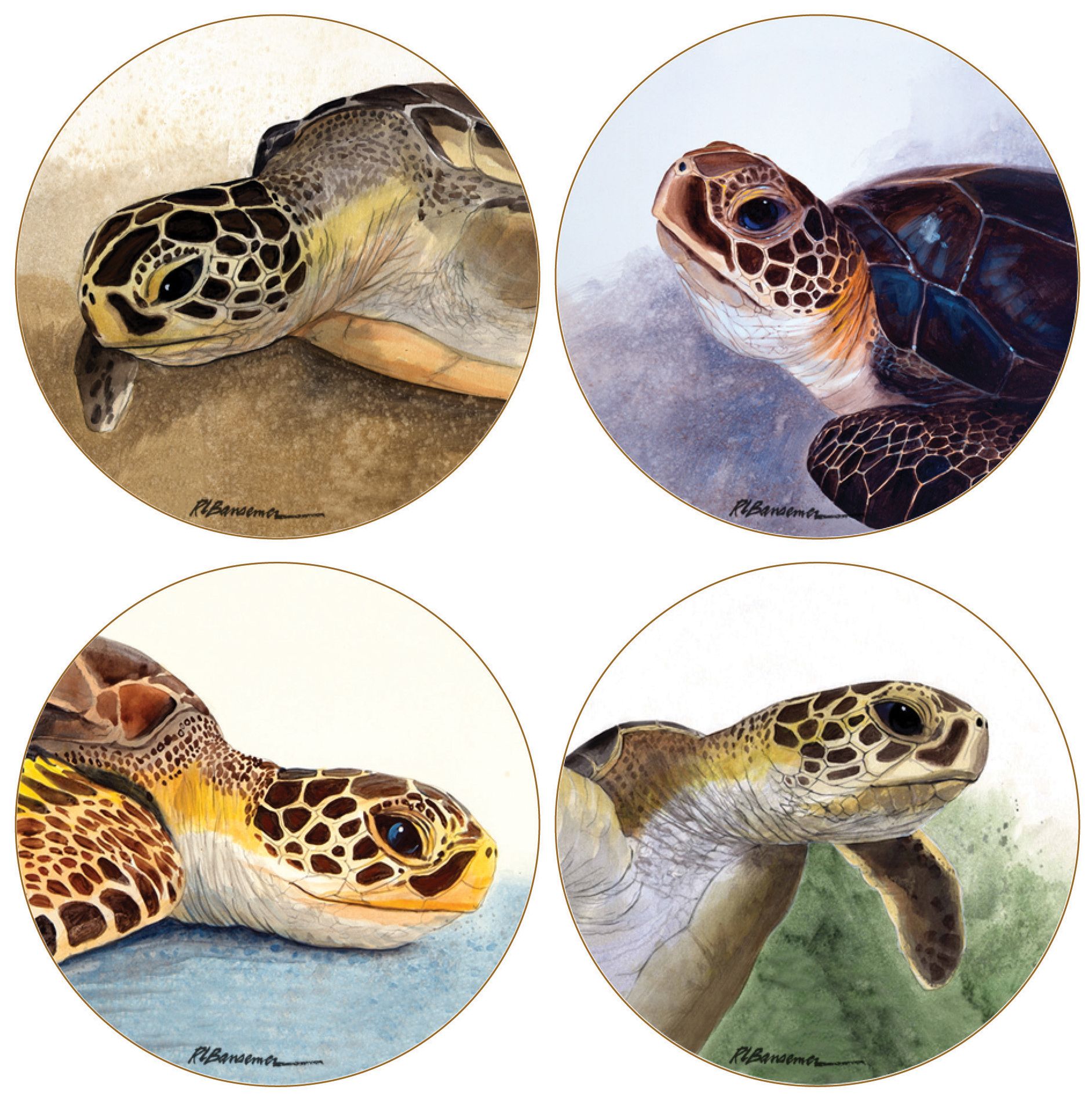 Hindostone Set of 4 Sea Turtles Coasters