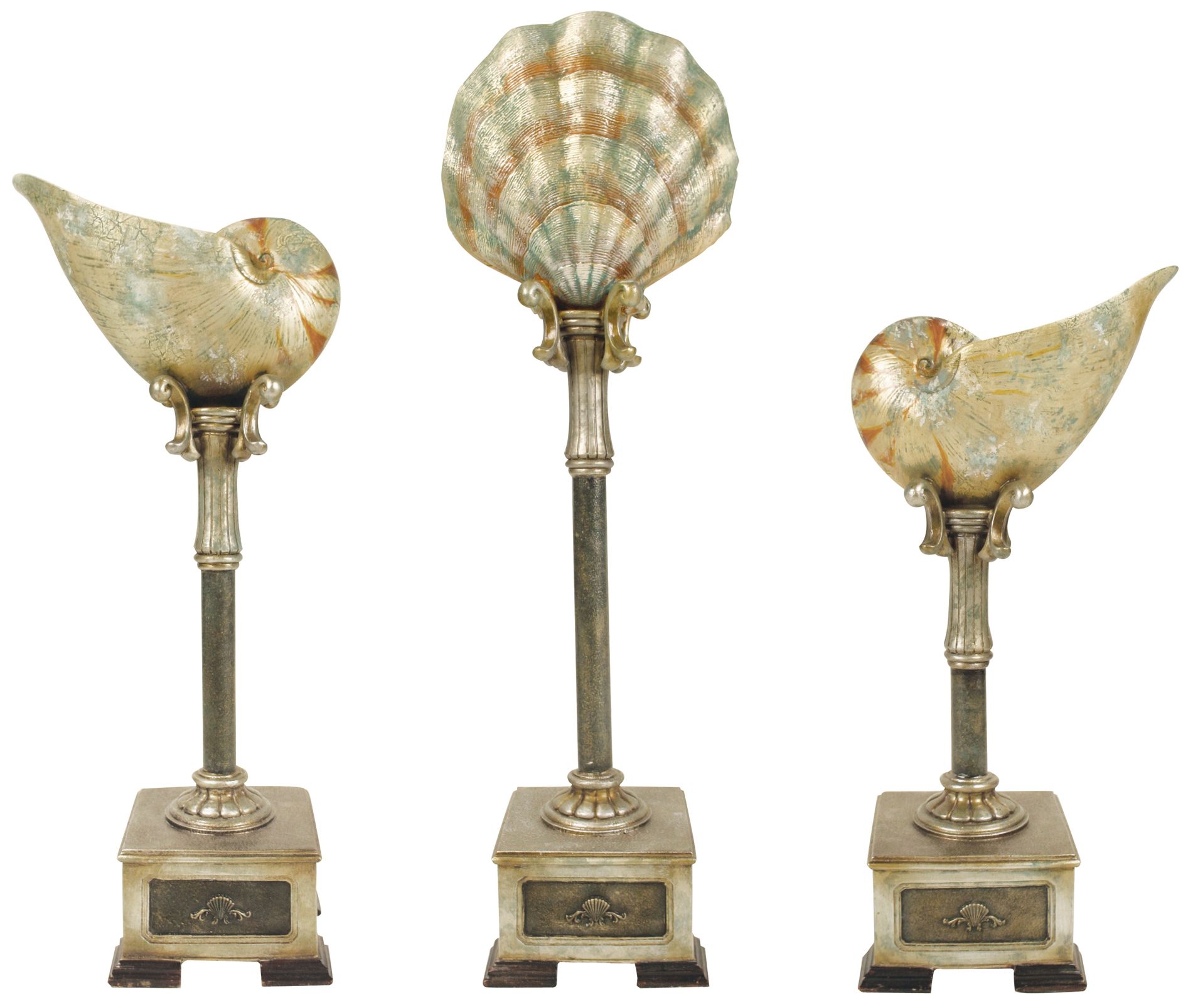 Set of 3 Mounted Cultured Seashells