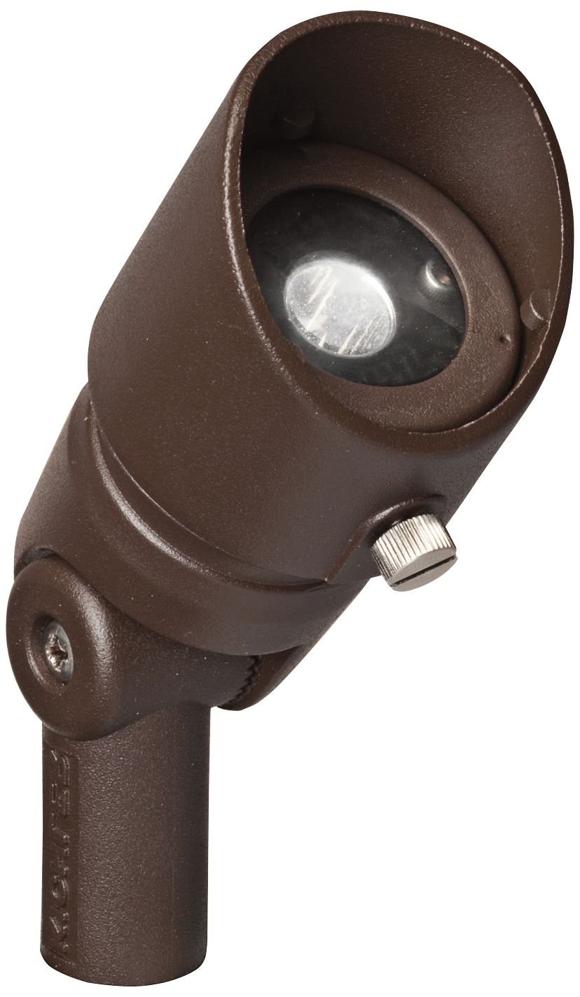 Radiax 2700K 35-Degree 3-Watt LED Bronze Flood Light