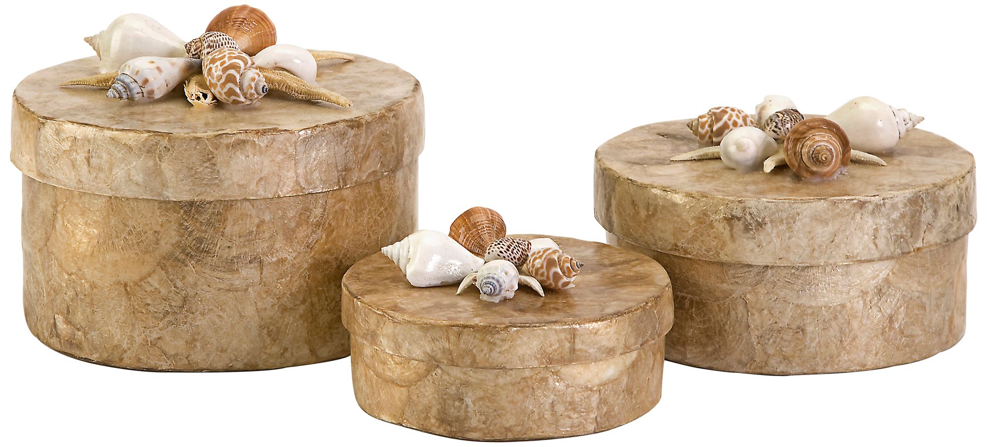 Set of 3 Sanibel Round Natural Shell Boxes