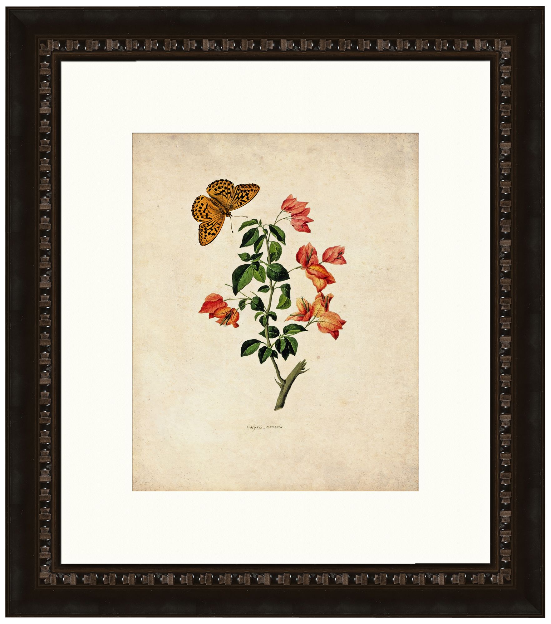 Butterflies I 17" High Wall Art