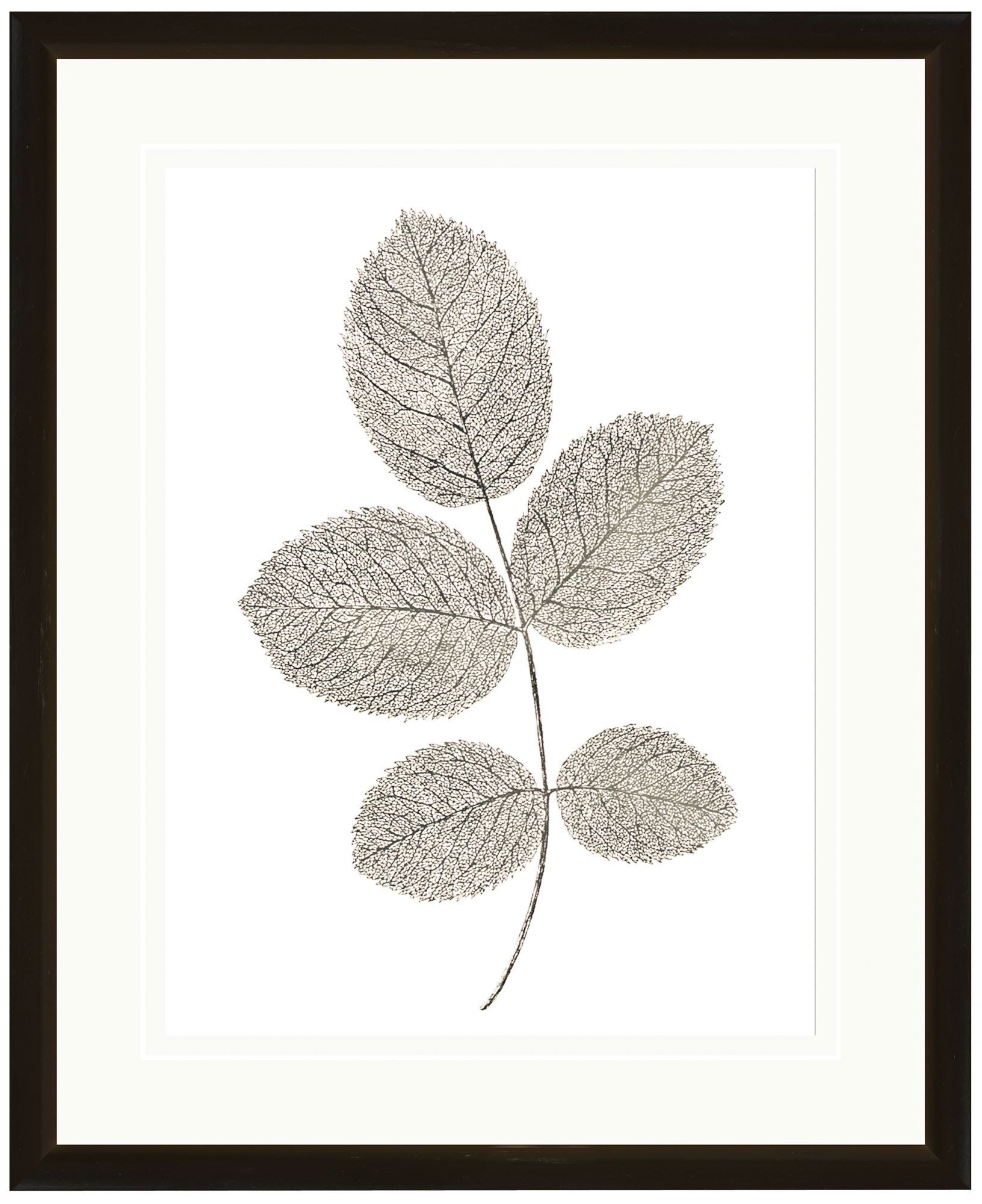 Leaf Silhouettes II 17 3/4" Wide Wall Art