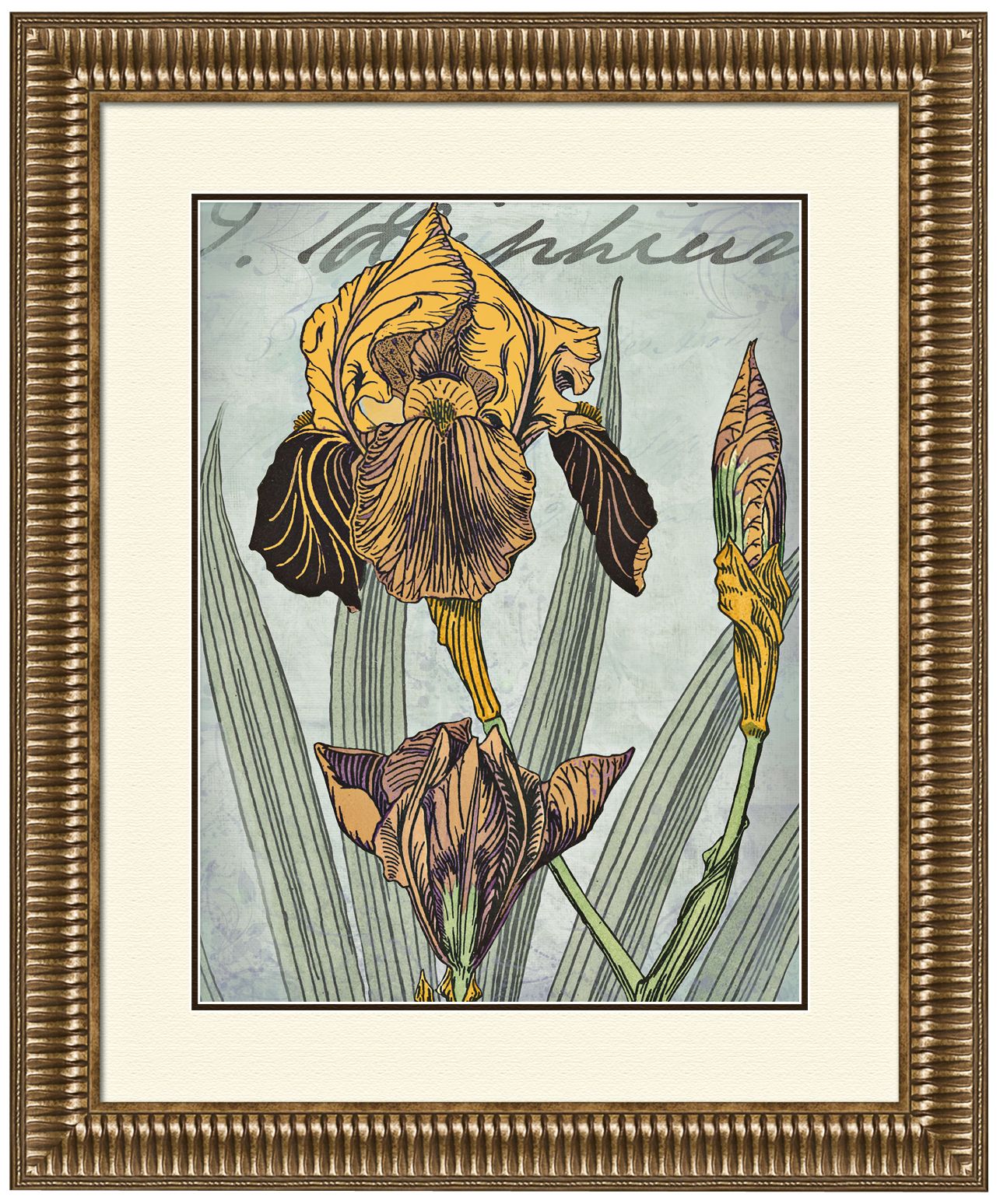 Irises Golden II 29 1/4" Wide Wall Art