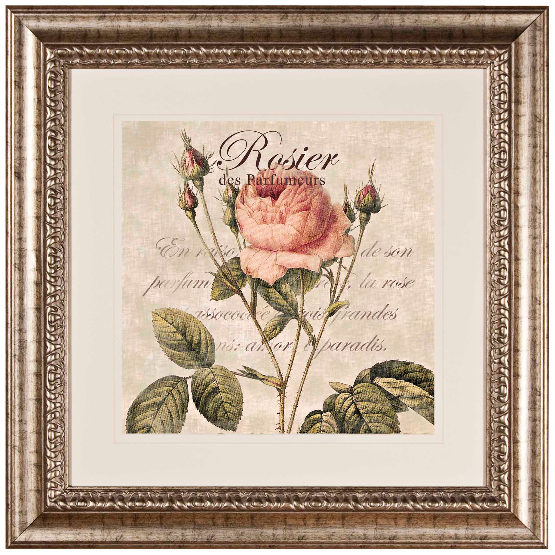 Rose I 27 1/2" Wide Wall Art