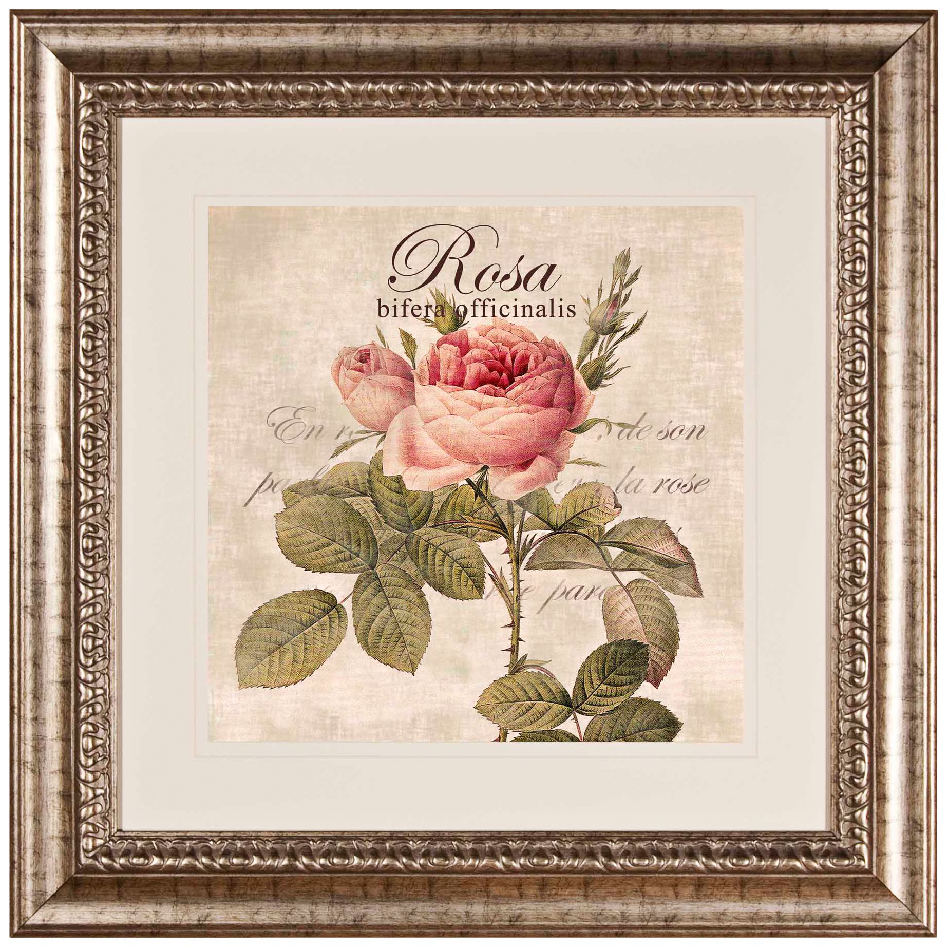 Rose II 27 1/2" Wide Wall Art