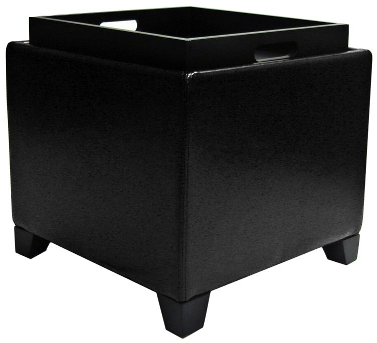 Adair Contemporary Black Storage Ottoman with Tray