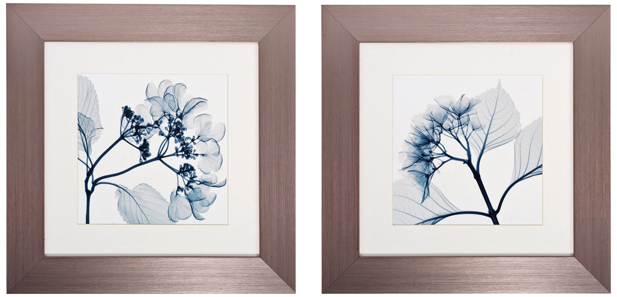 Set of 2 Hydrangeas I/II 22" Square Floral Wall Art