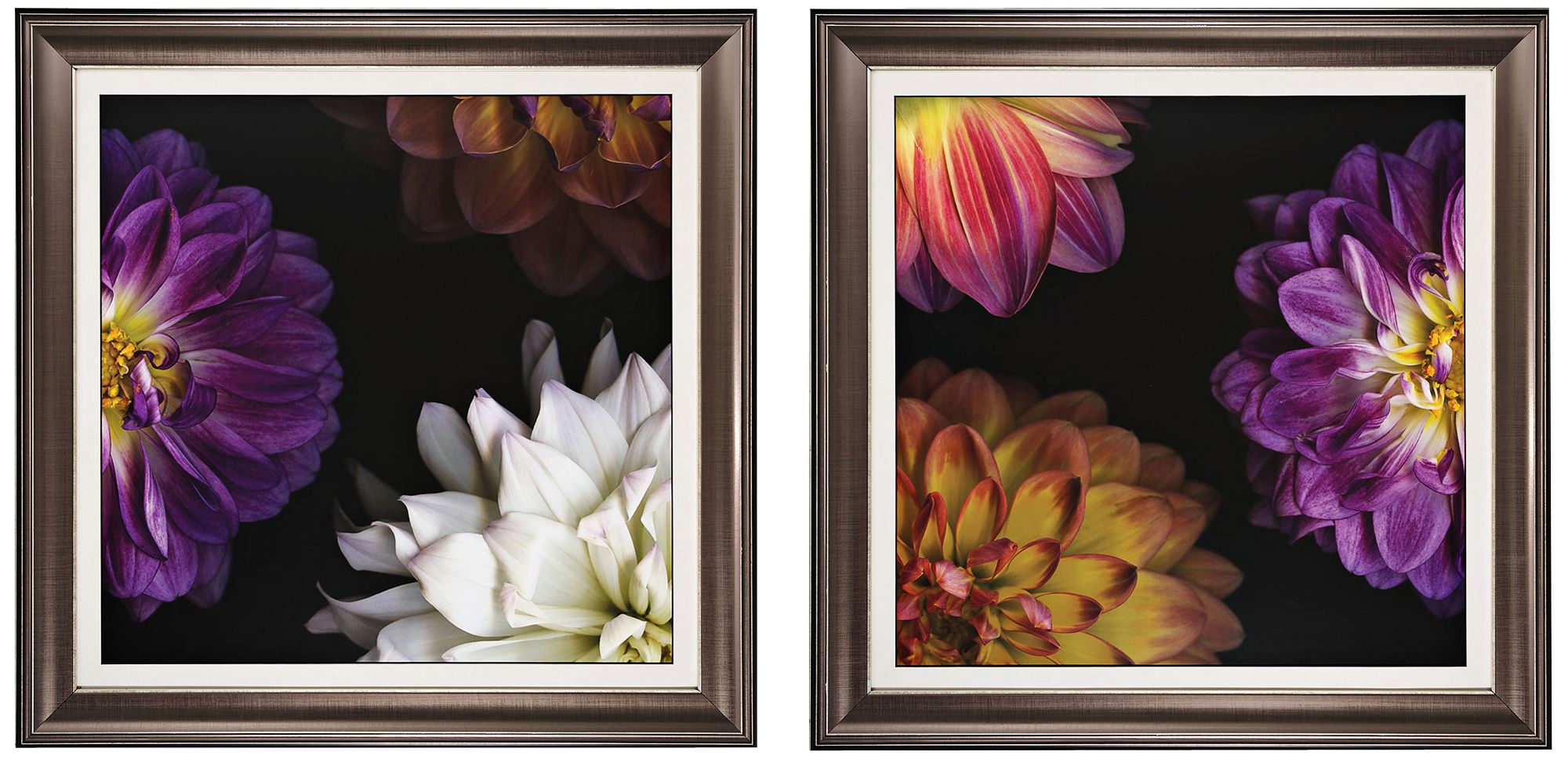 Set of 2 Purple Dahlia I/II 30" Square Framed Wall Art