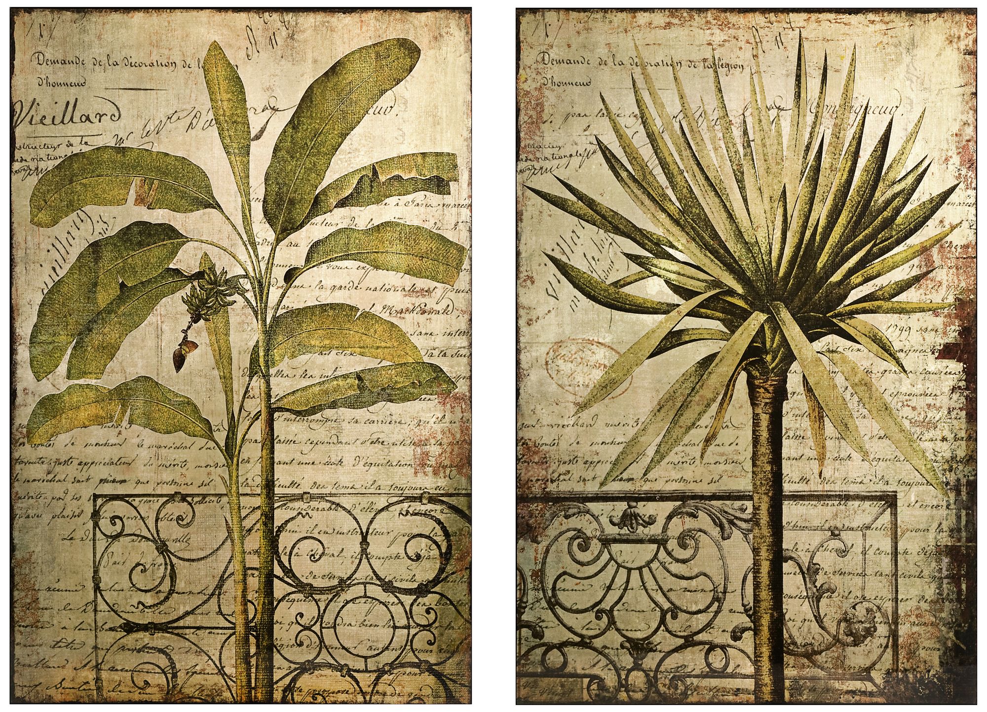 Antego Set of 2 Tropical Wall Art