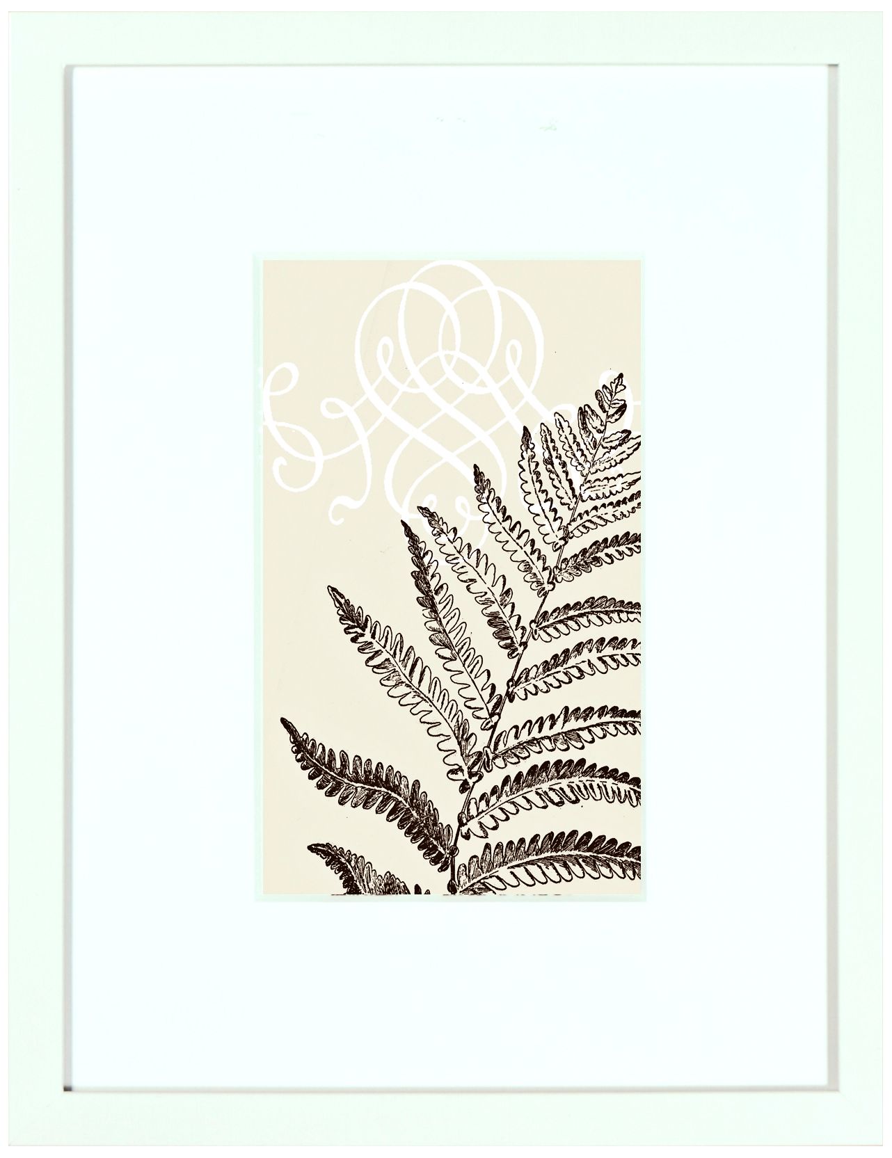 Single Fern 17 3/4" High Framed Transitional Wall Art