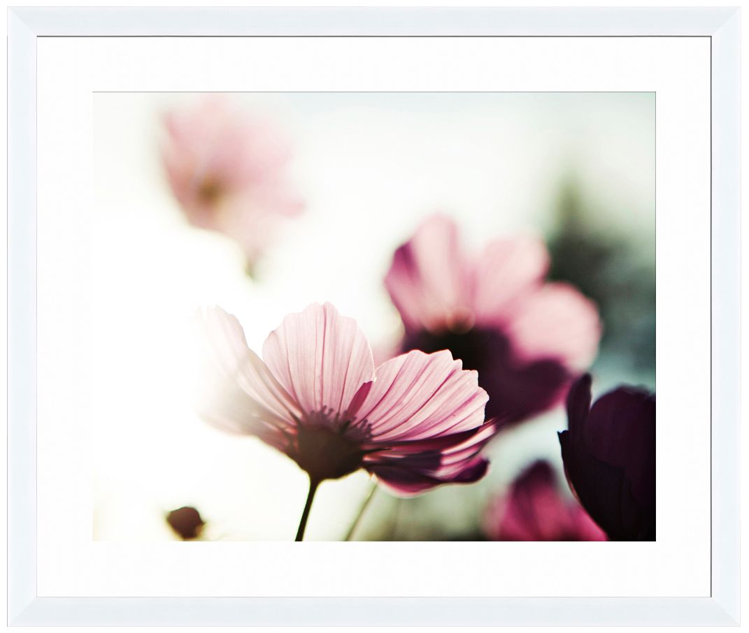 Floral Haze I 26" Wide Framed Wall Art Print