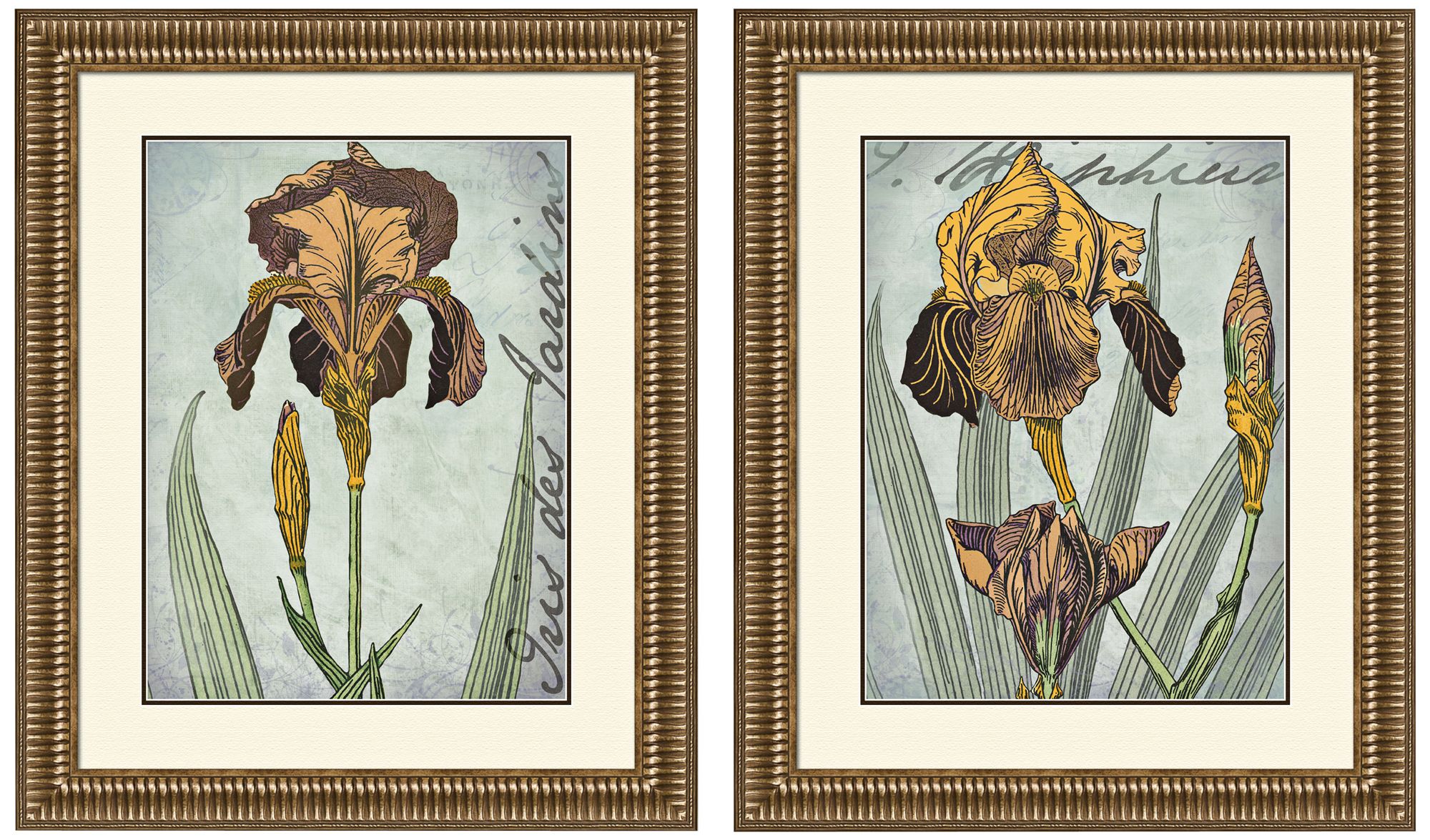 Set of 2 Irises Golden 35 1/4" High Framed Art Prints