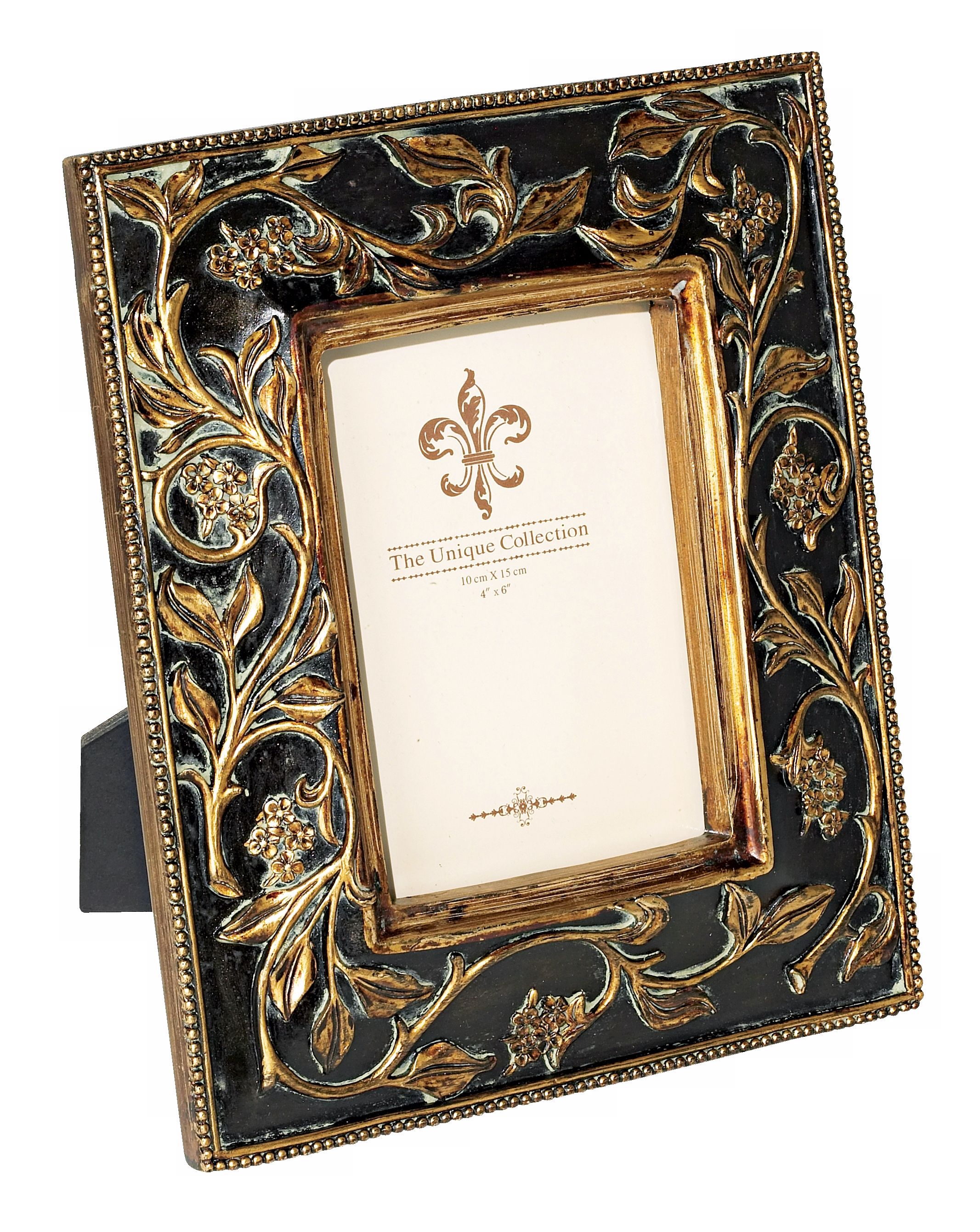 Vine Motif Black & Gold Picture Frame