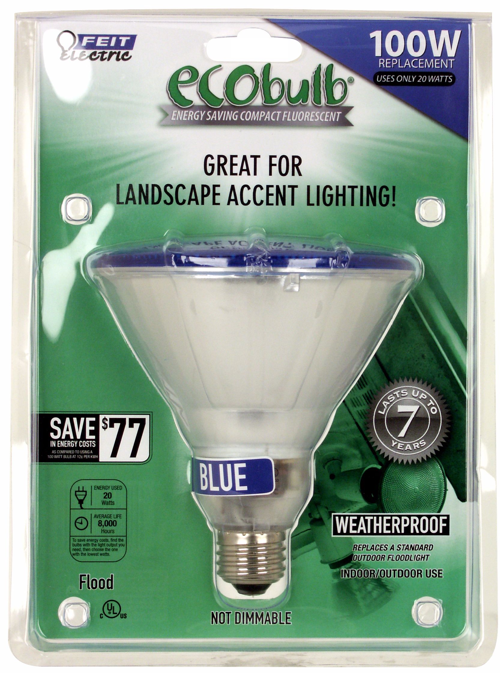 PAR38 23 Watt Blue Outdoor Flood CFL Light Bulb