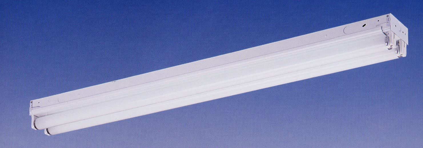 White Finish 2-Light 48" Wide Strip Ceiling Fixture