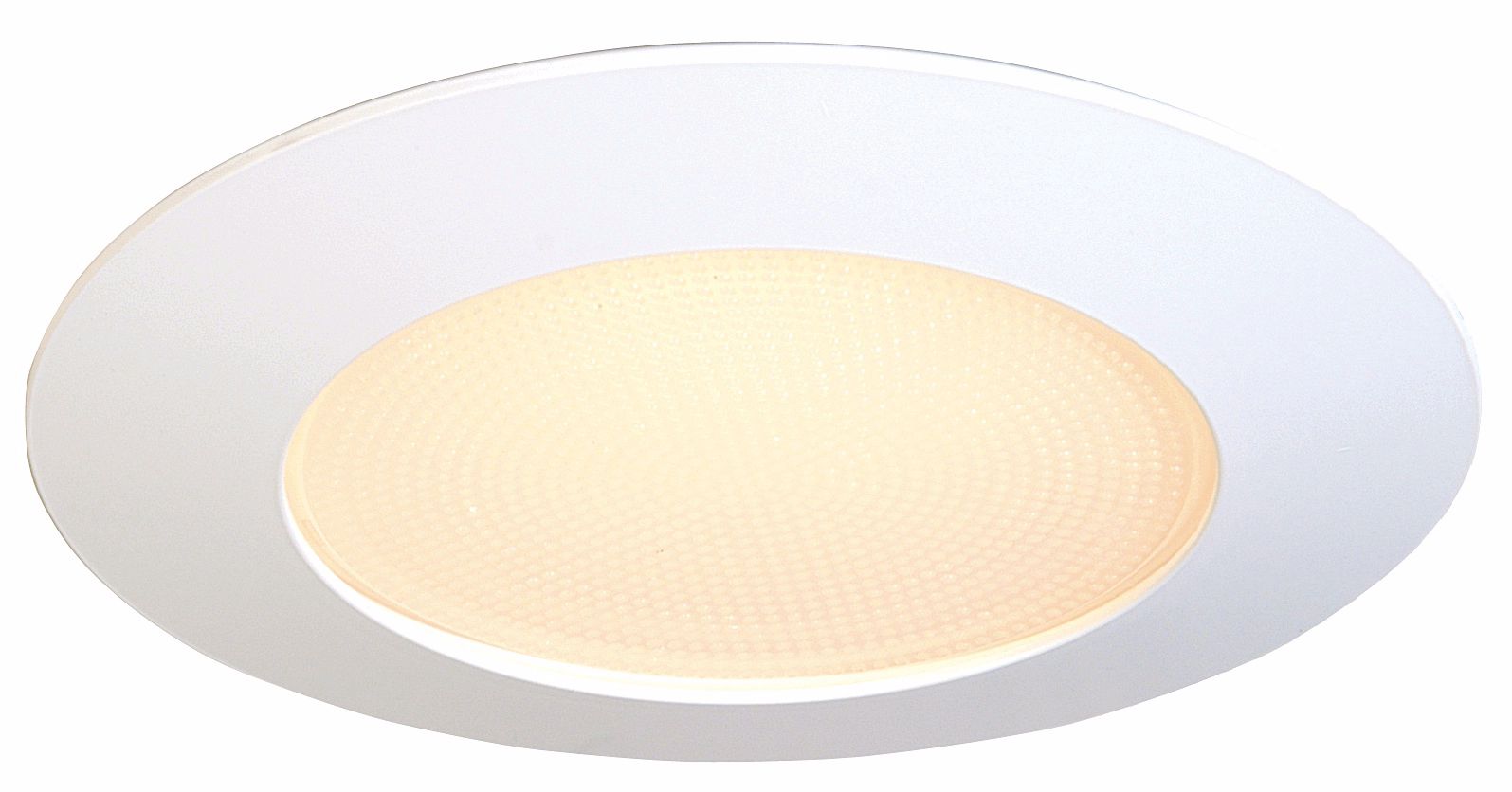 Luminaire™ 6" Line Voltage Wet Location Recessed Light